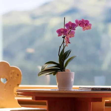 Chesa Languard Hotel