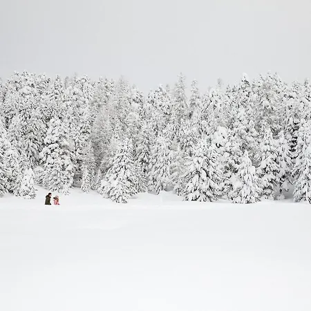 Chesa Languard Hotell St. Moritz
