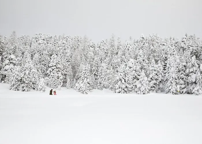 Chesa Languard Hotel São Moritz
